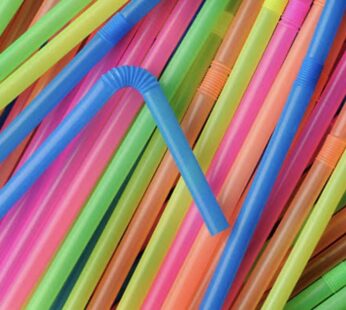 Winsome Decor Multicolor Rainbow Plastic Straw (Pack of 30 Pcs) Plastic Drinking Straws for Juices, Filtered Juice Party Supplies Decorations(Pack of 30)